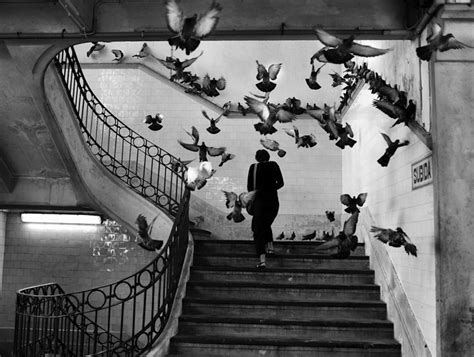 vincent cartier bresson|henri cartier bresson best photos.